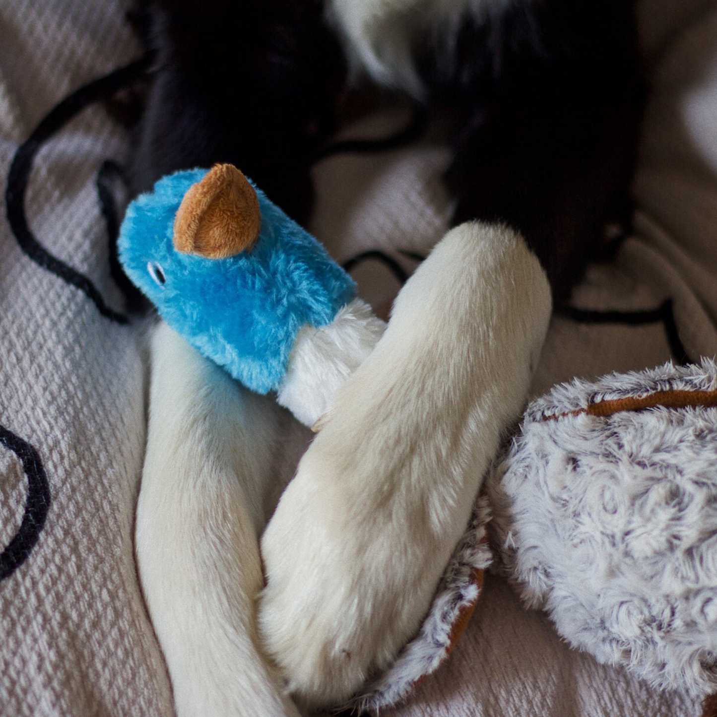 Plush toy for dog, partridge style