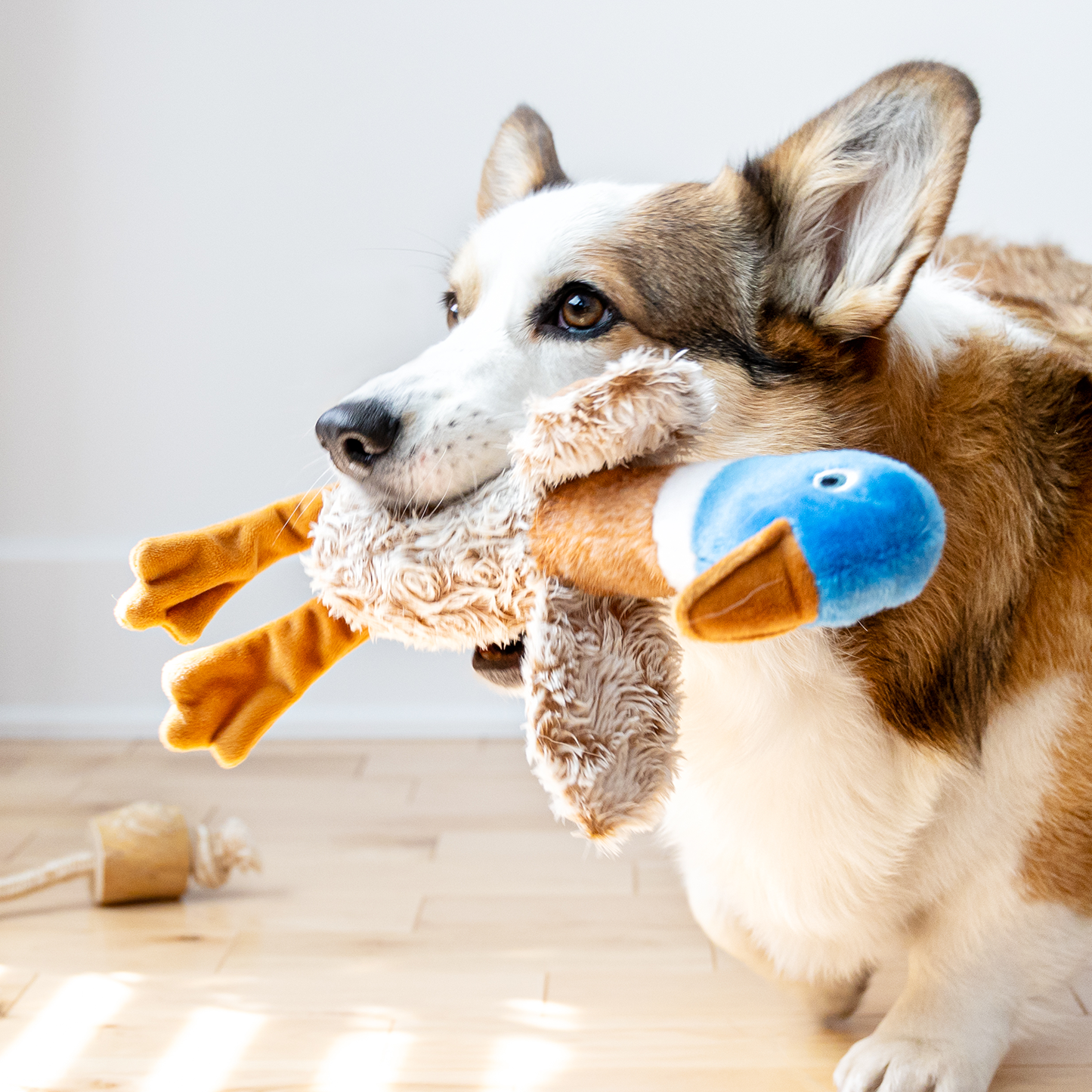 Plush toy for dog, partridge style
