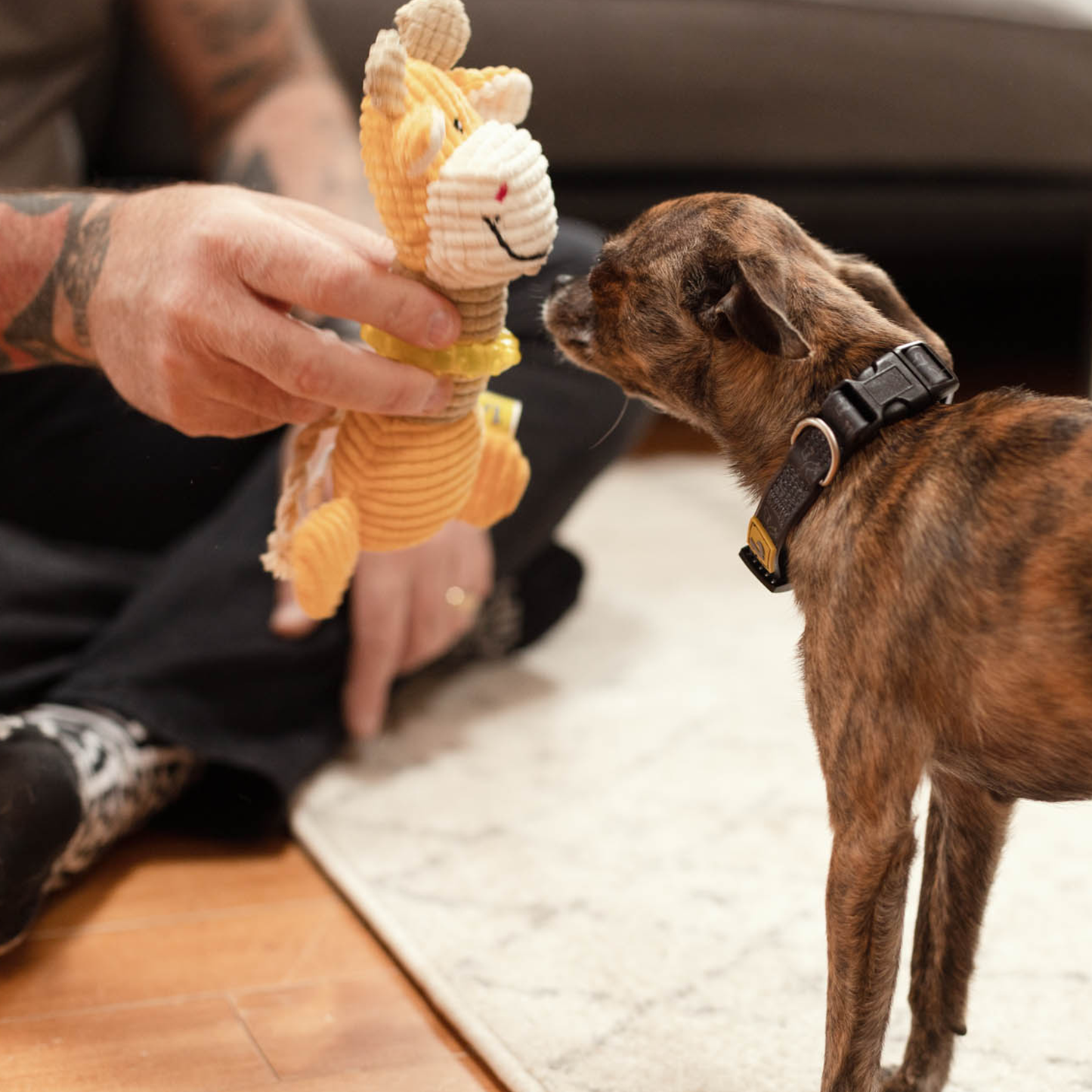 Plush toy for puppy dog, giraffe style