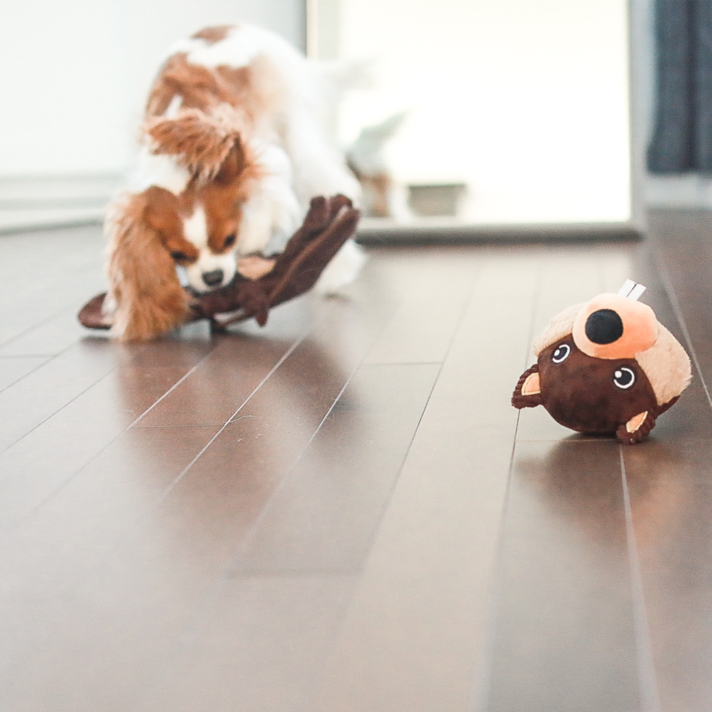 Deconstructable and reconstructible toy for dog, bernie the beaver