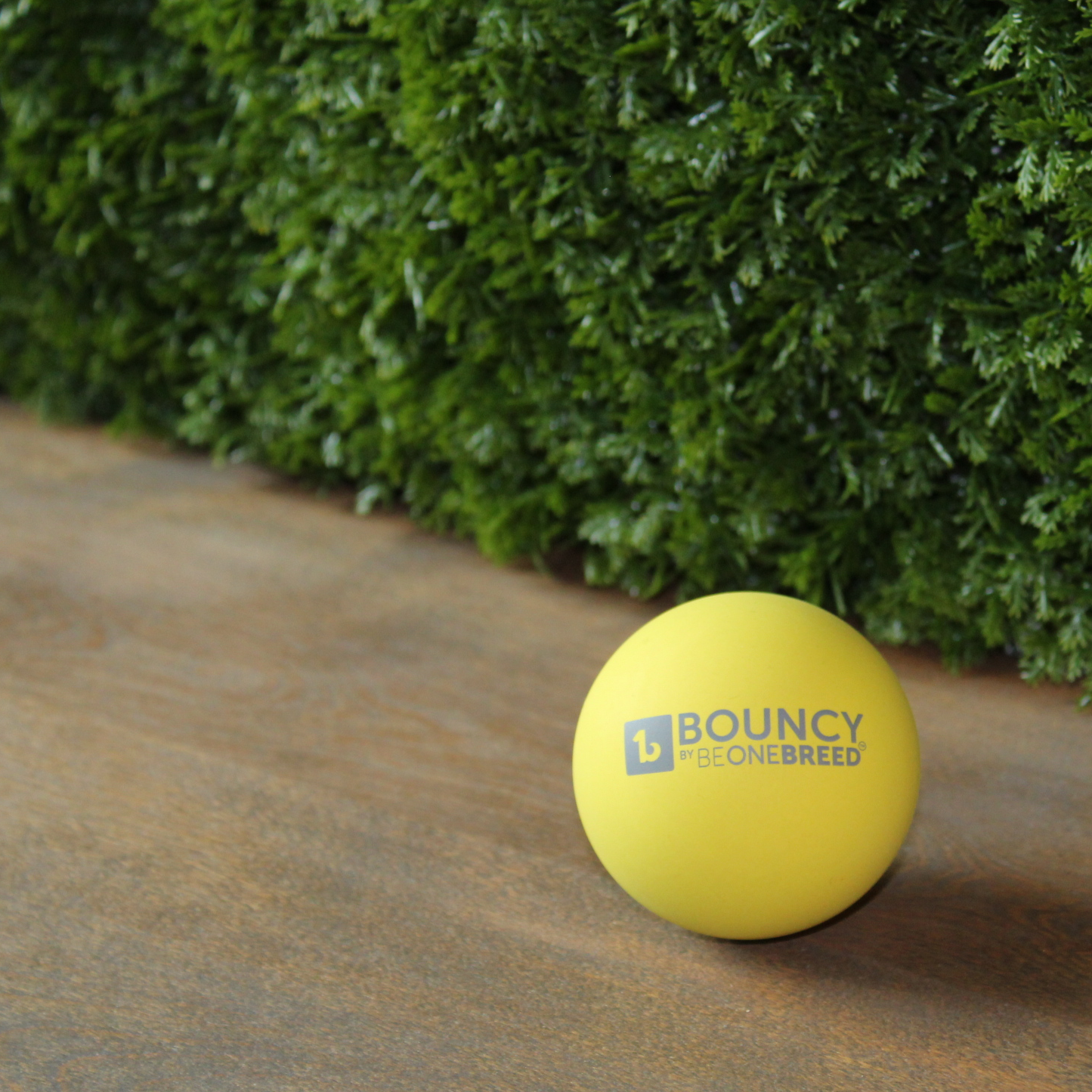 Bouncy ball for dog, rubber