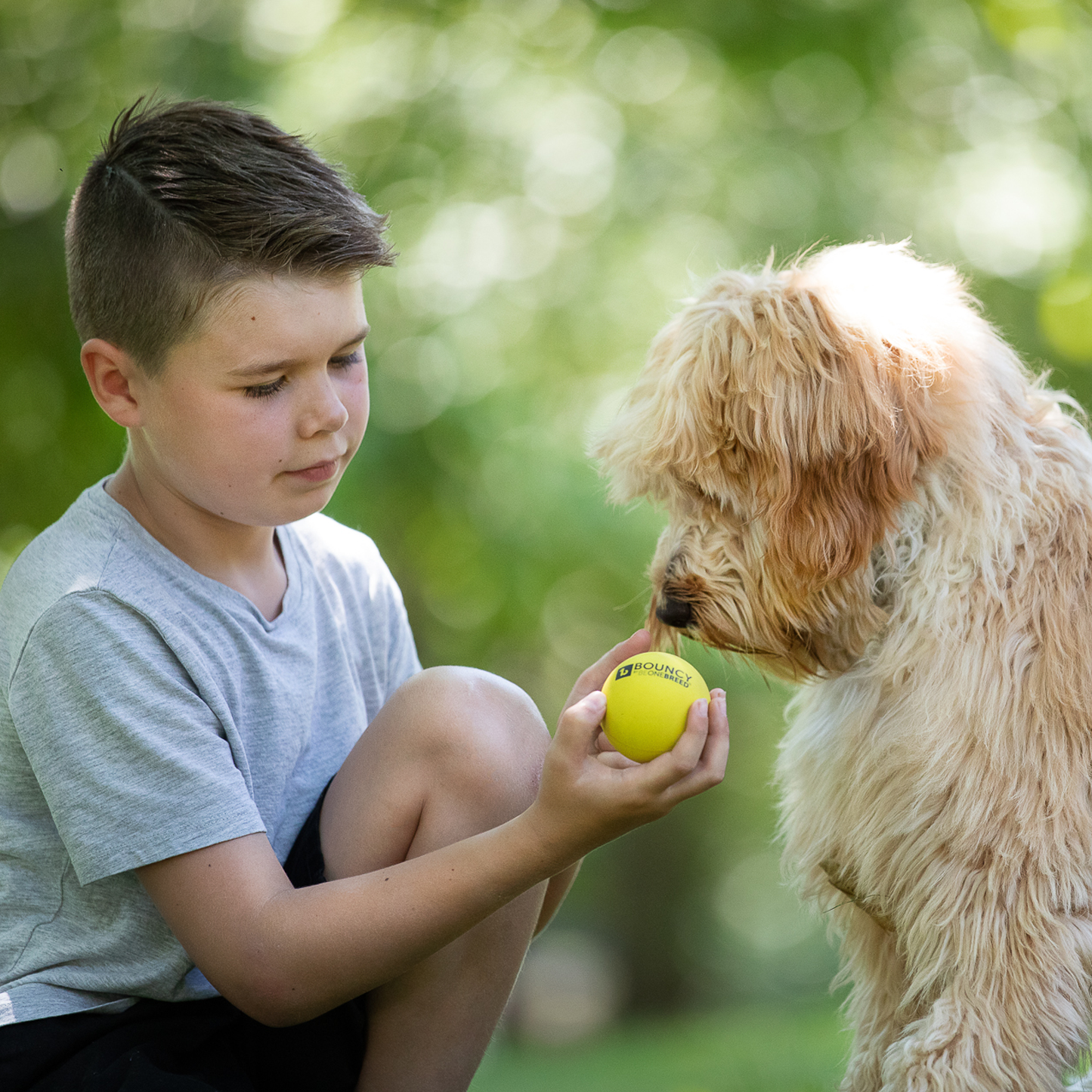 Bouncy ball for dog, rubber