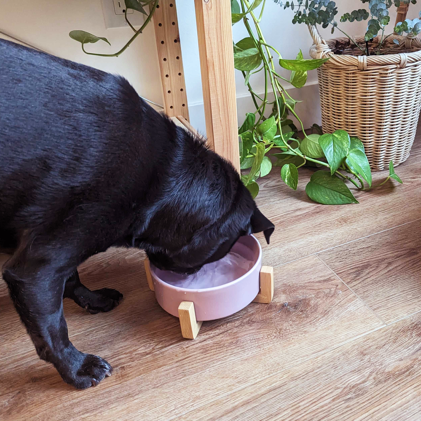 Ceramic bowl on wood pilotis for pet, pink