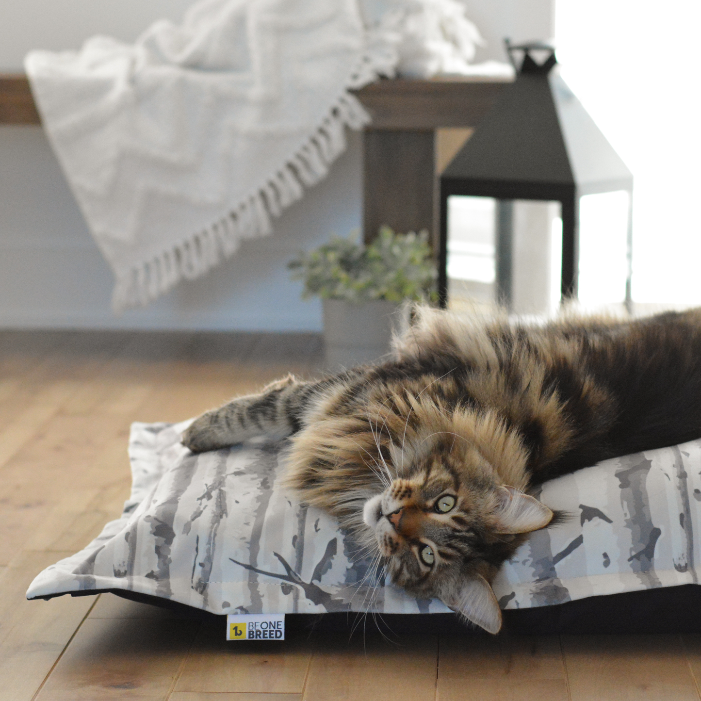 Supplementry cloud dog bed cover, birch wood
