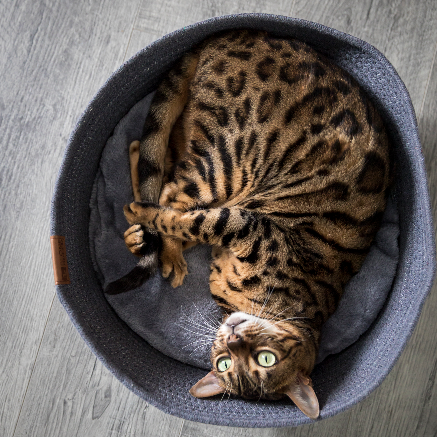 Woven basket bed for cat, gray