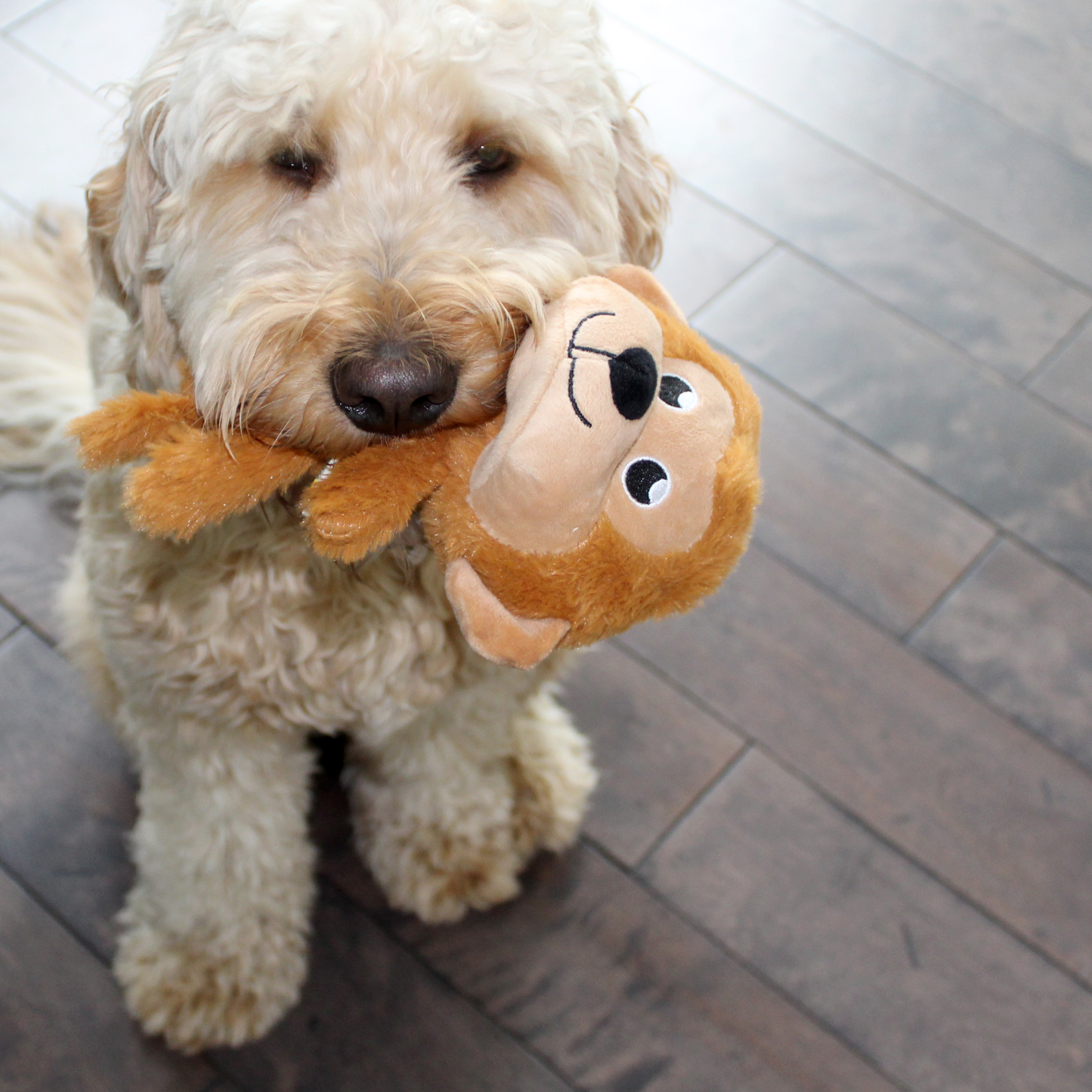 Plush toy for dog, monkey style