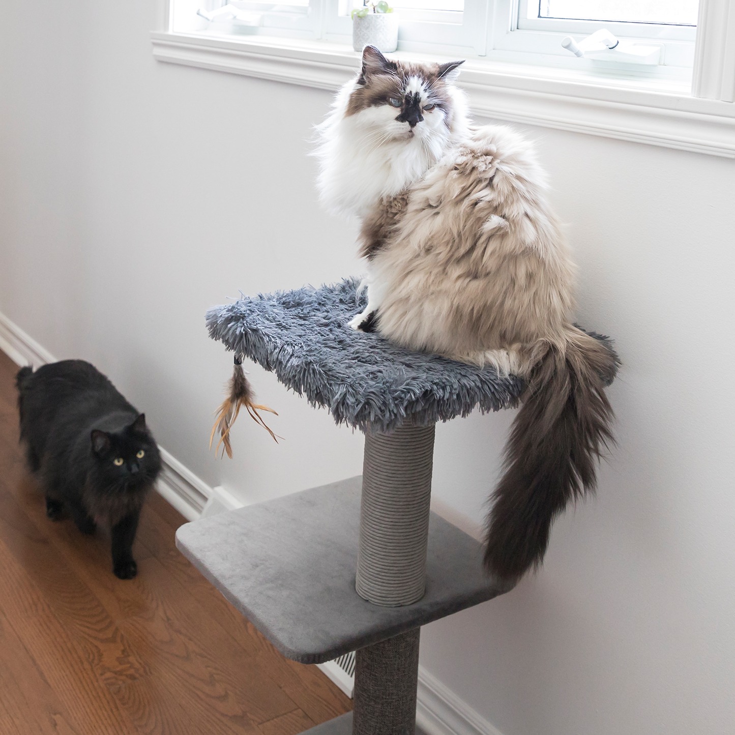 Cat tree scratcher pole, gray fur