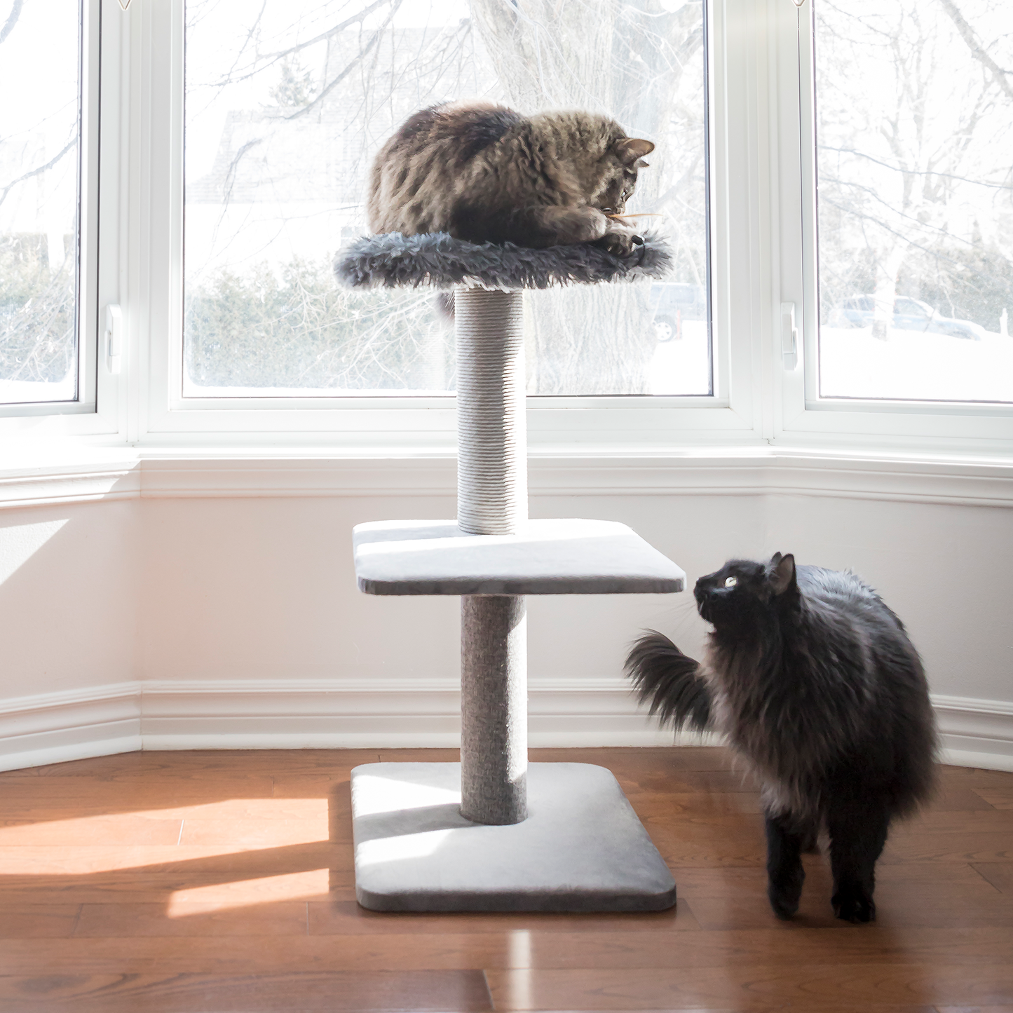 Cat tree scratcher pole, gray fur