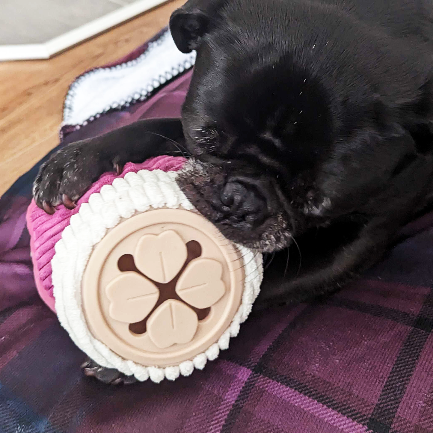 Plush toy for dog, mushroom style