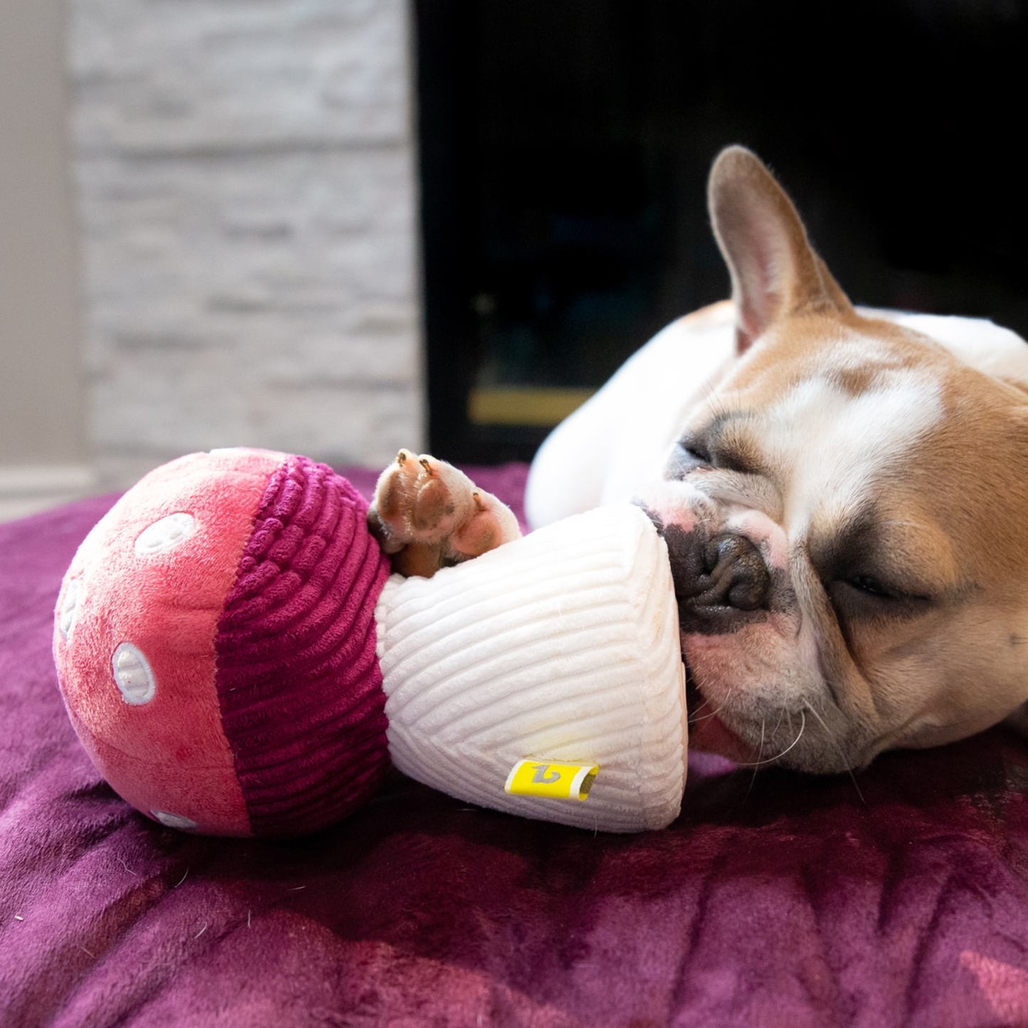 Plush toy for dog, mushroom style