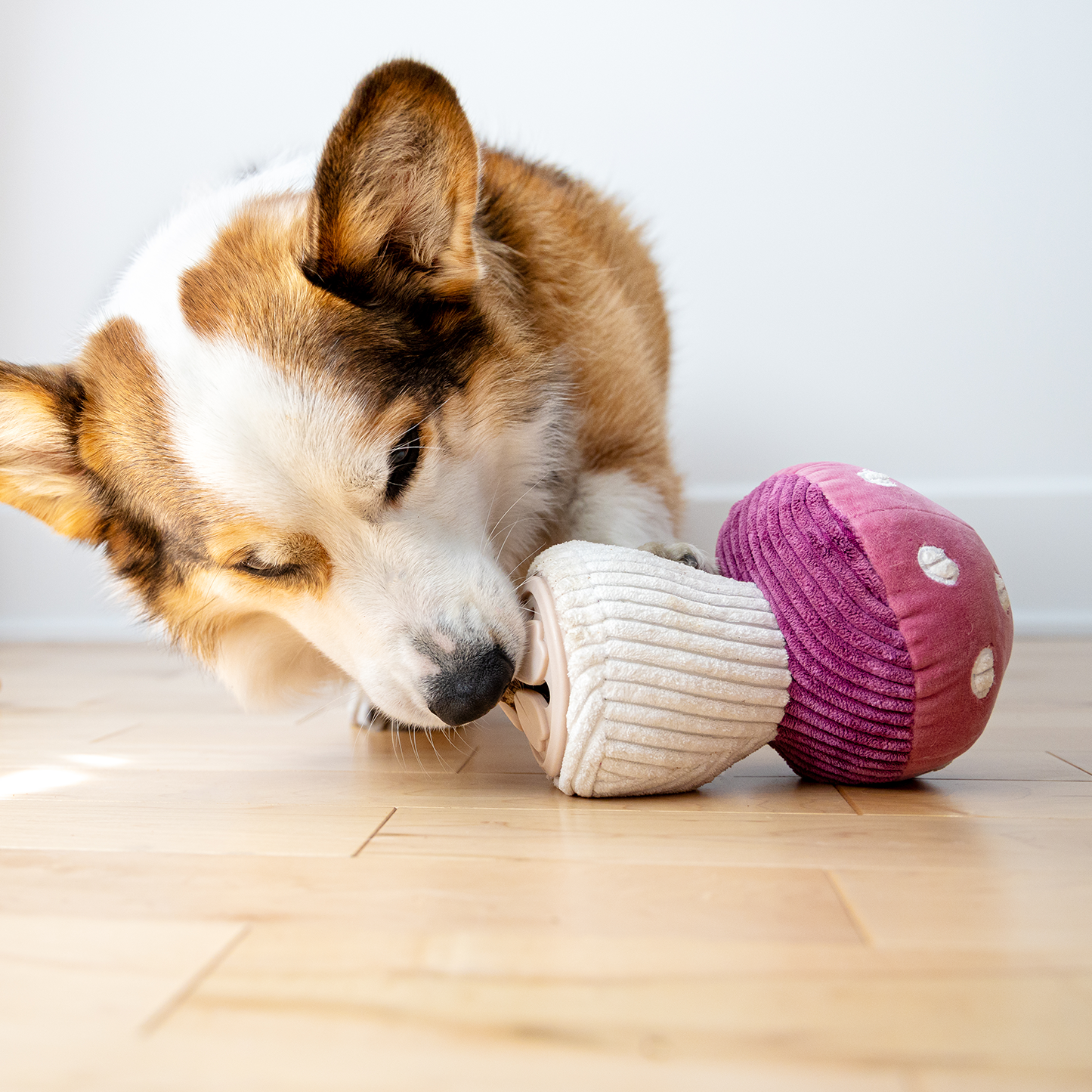 Plush toy for dog, mushroom style