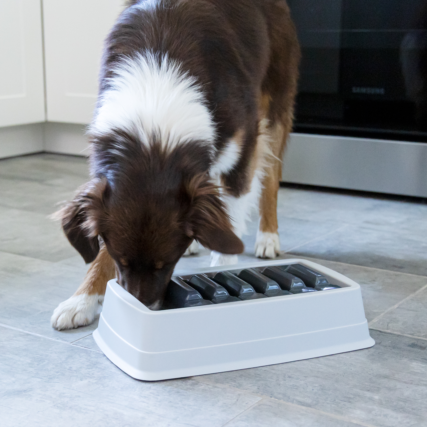 Interactive puzzle feeder bowl for cat and dog, multi-levels
