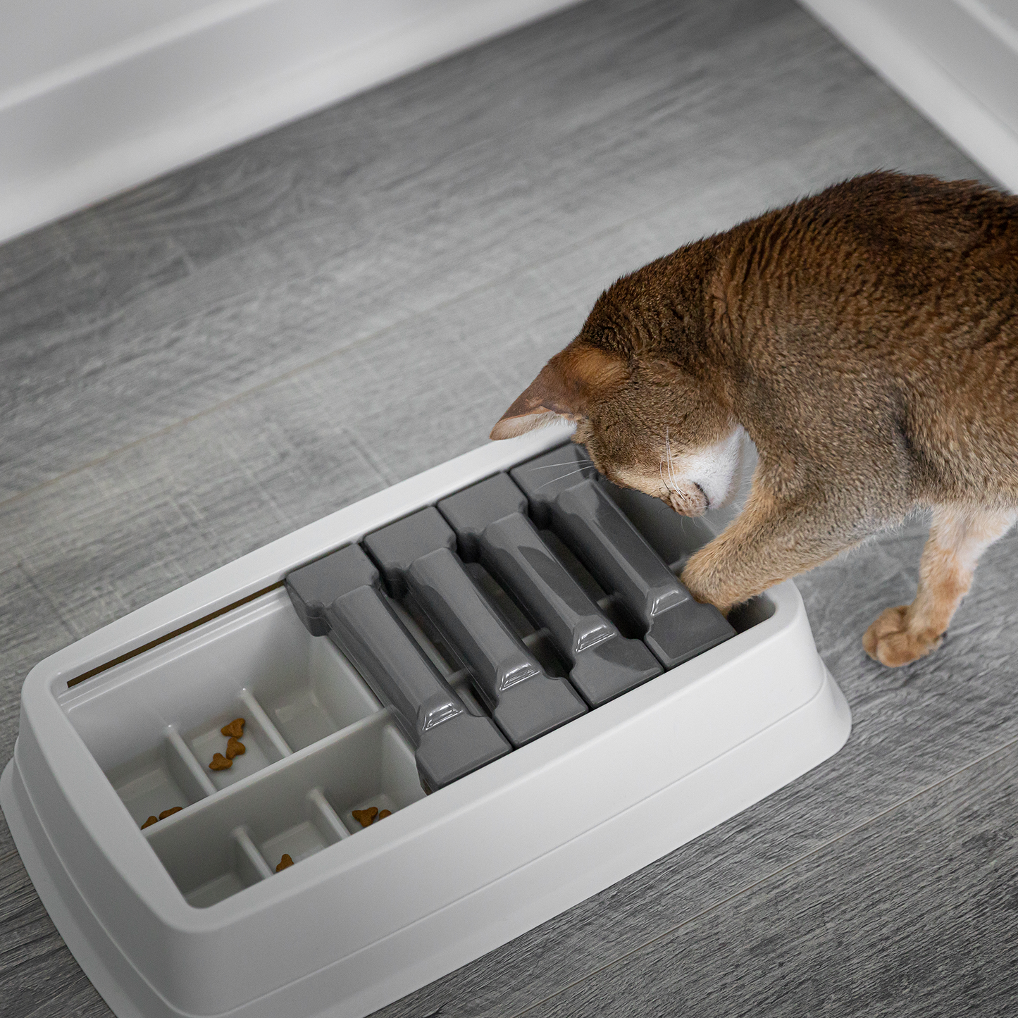 Interactive puzzle feeder bowl for cat and dog, multi-levels