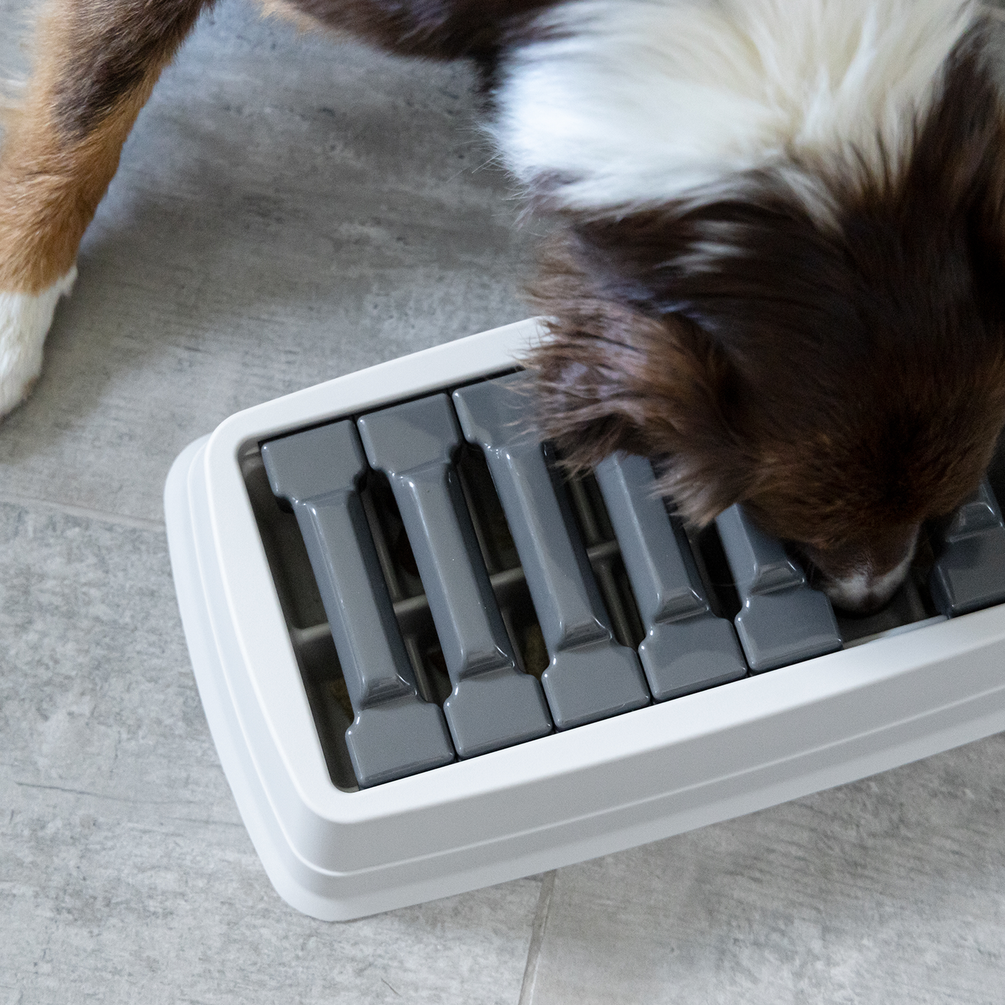 Interactive puzzle feeder bowl for cat and dog, multi-levels