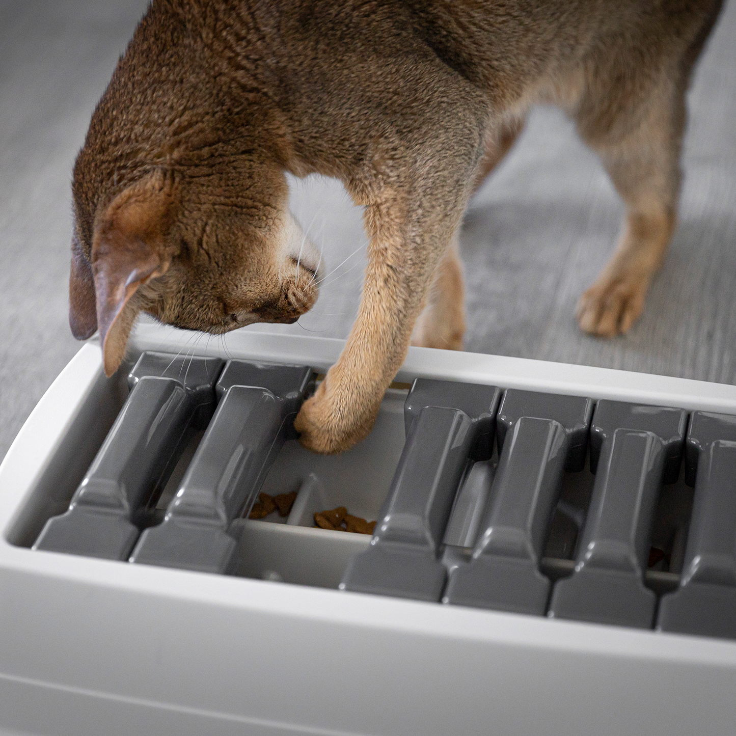 Interactive puzzle feeder bowl for cat and dog, multi-levels