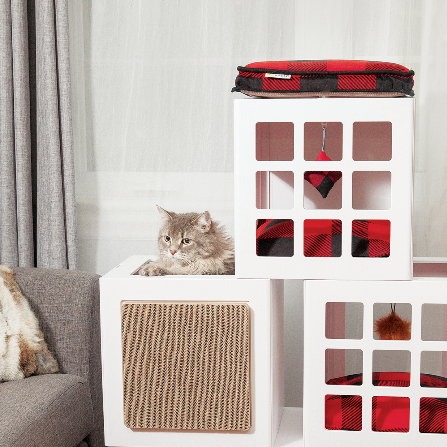 Katt3 memory foam bed buffalo style