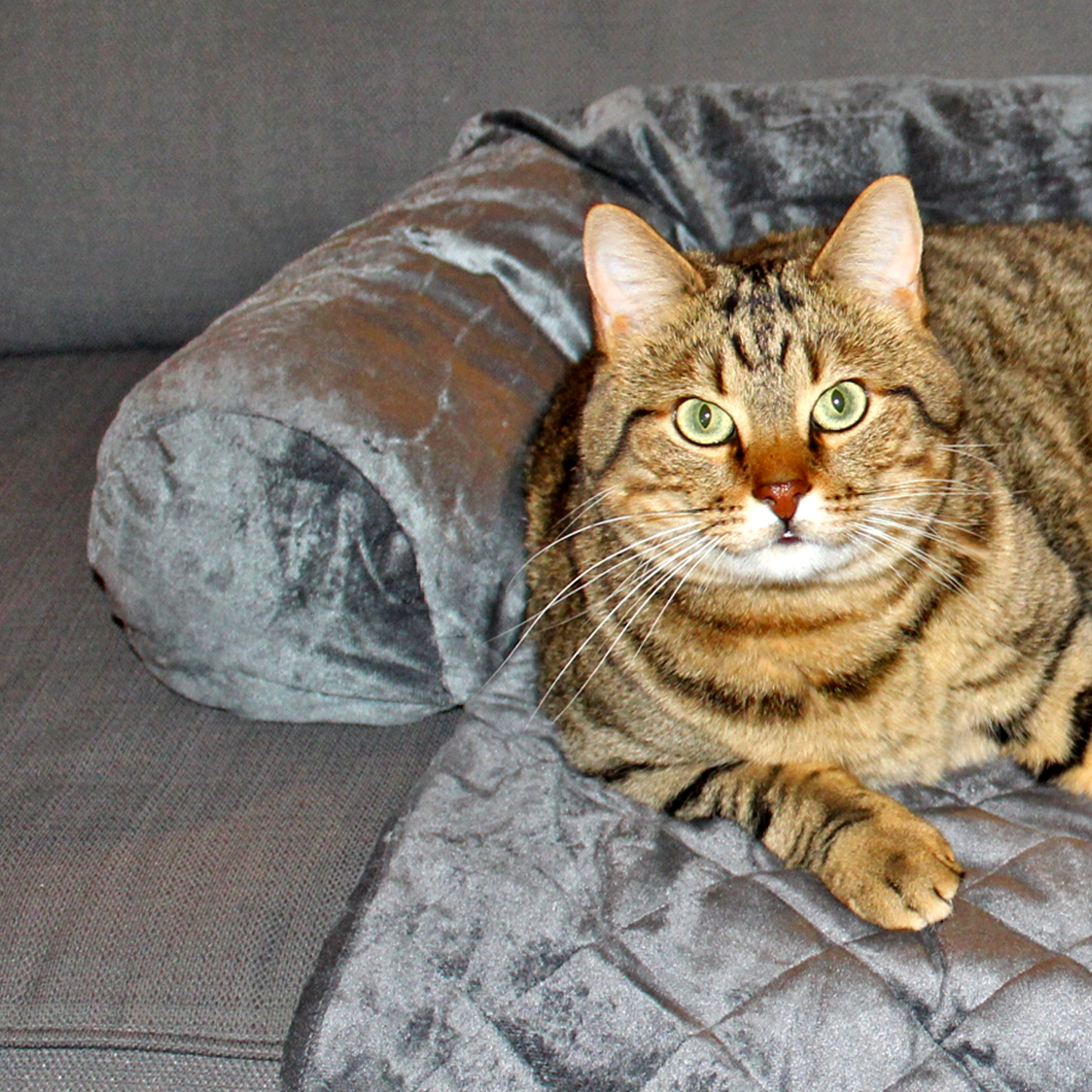 Soft blanket for pet with padded sides