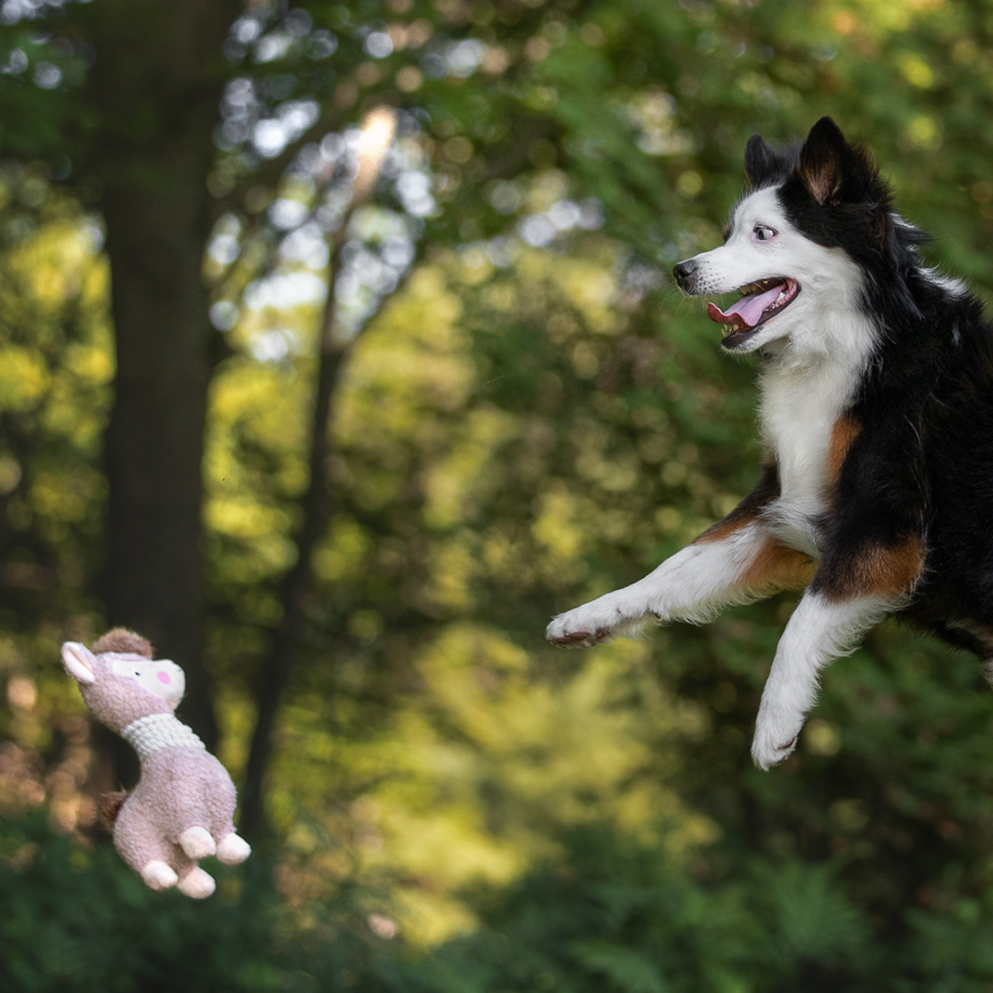 Plush toy for dog, llama style