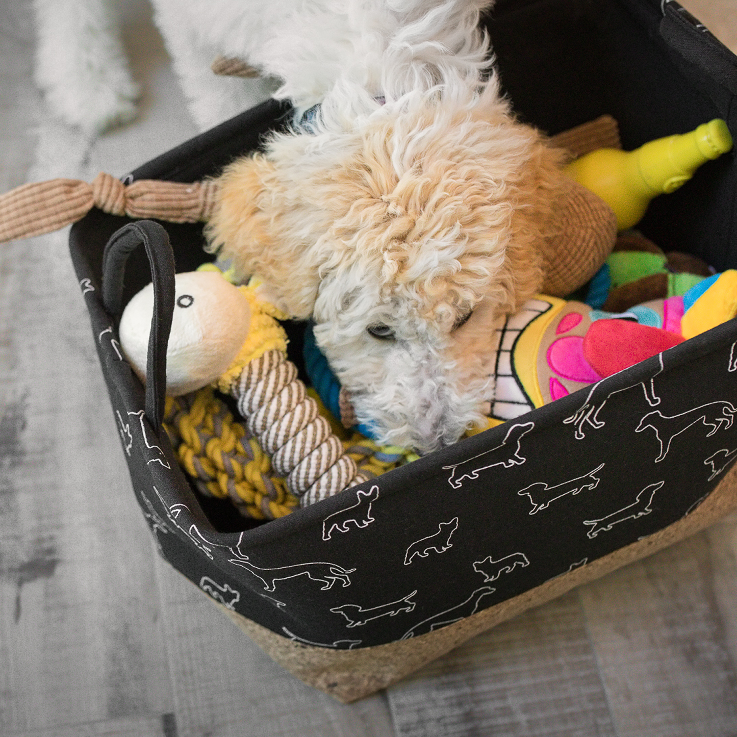 Plush toy for dog, giraffe style