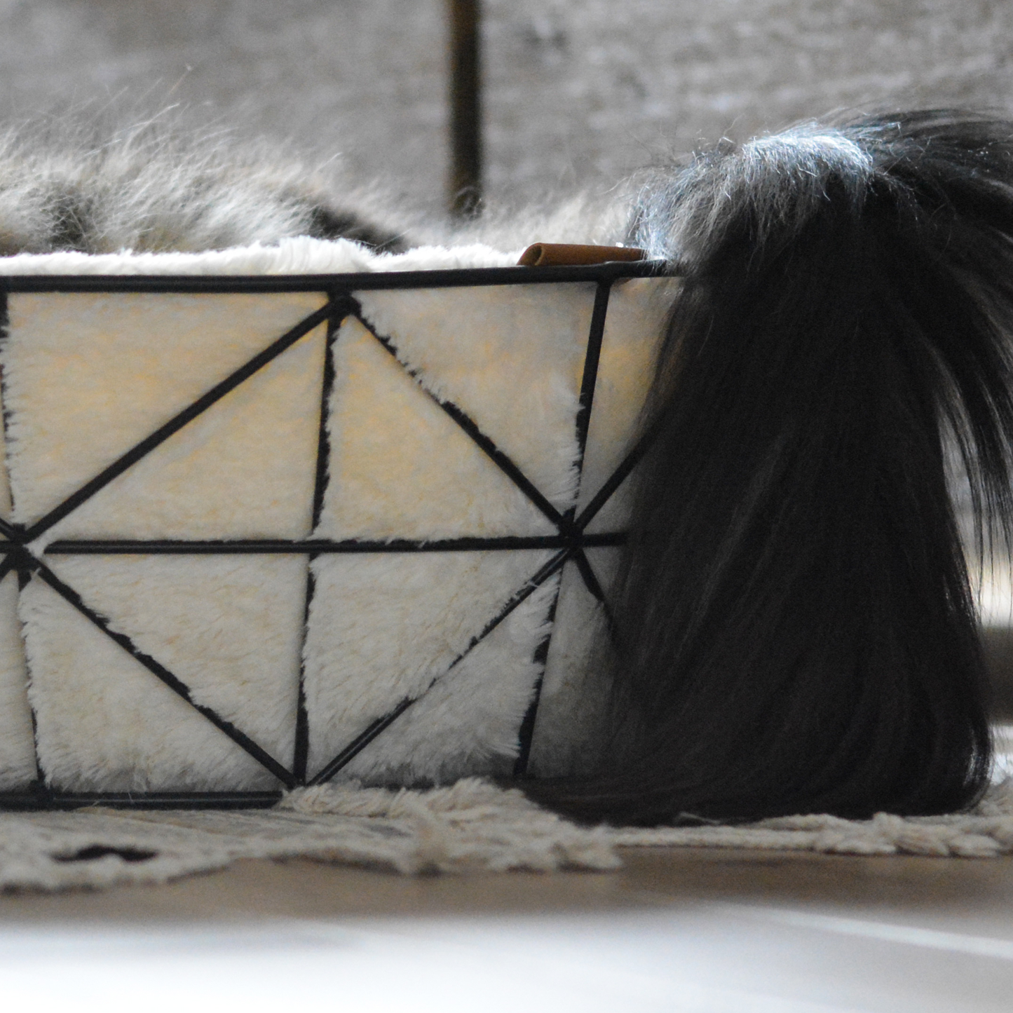 Metal basket bed for cat, black