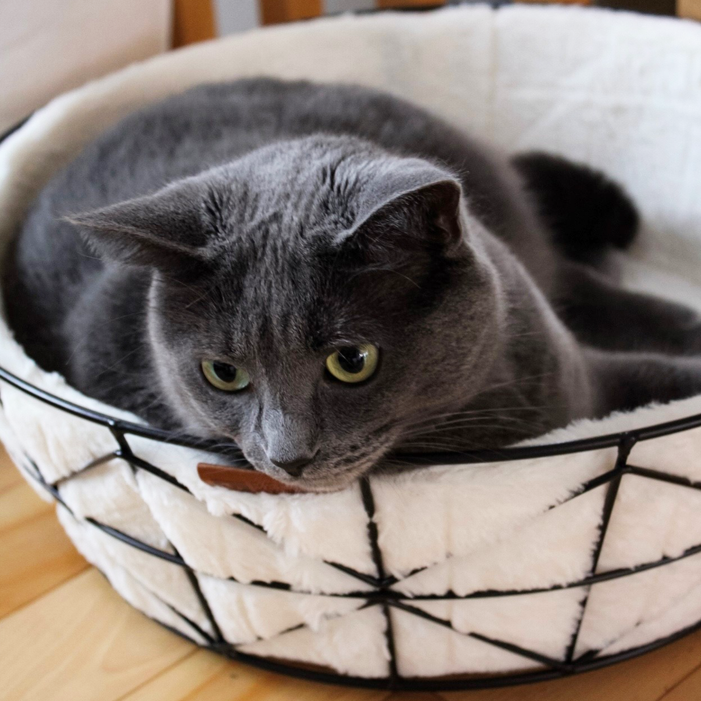 Metal basket bed for cat, black
