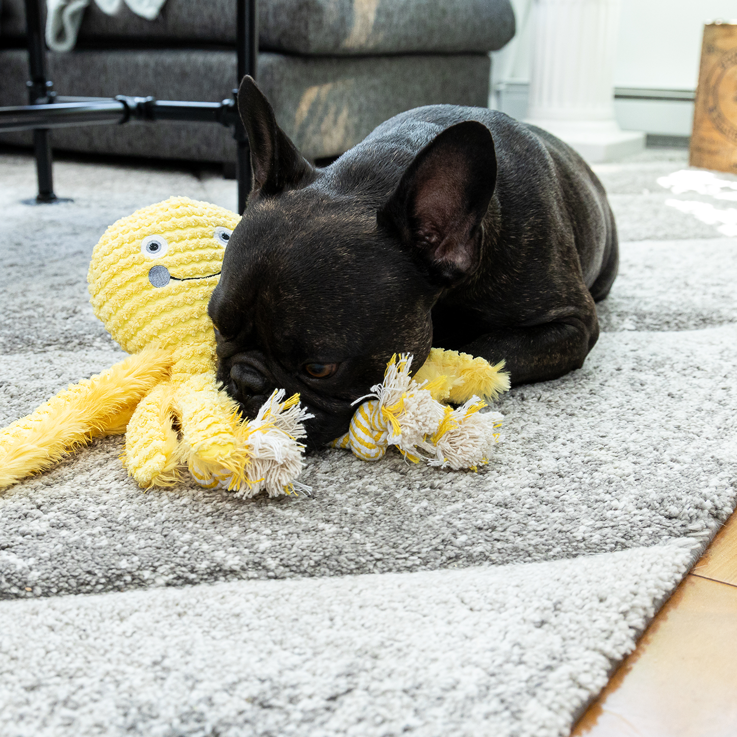 Plush toy for dog, octopus style