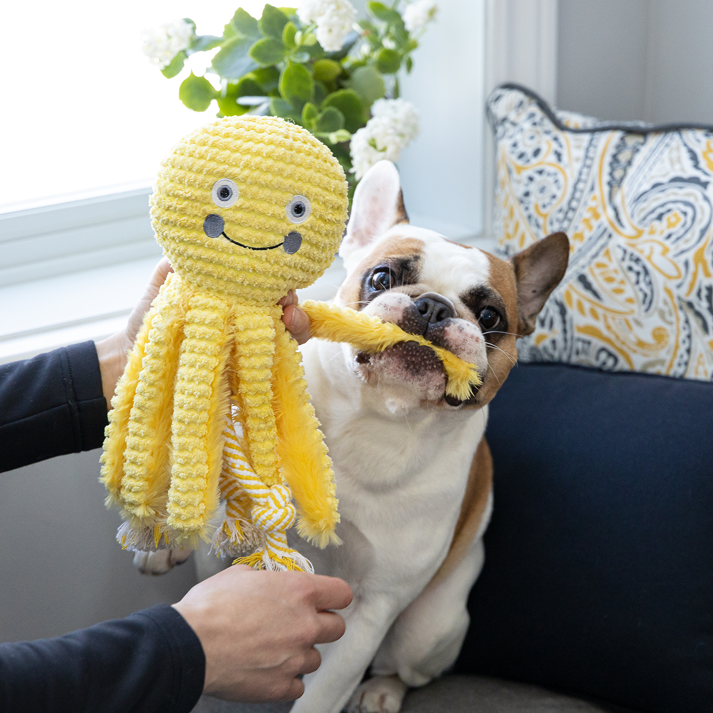 Plush toy for dog, octopus style