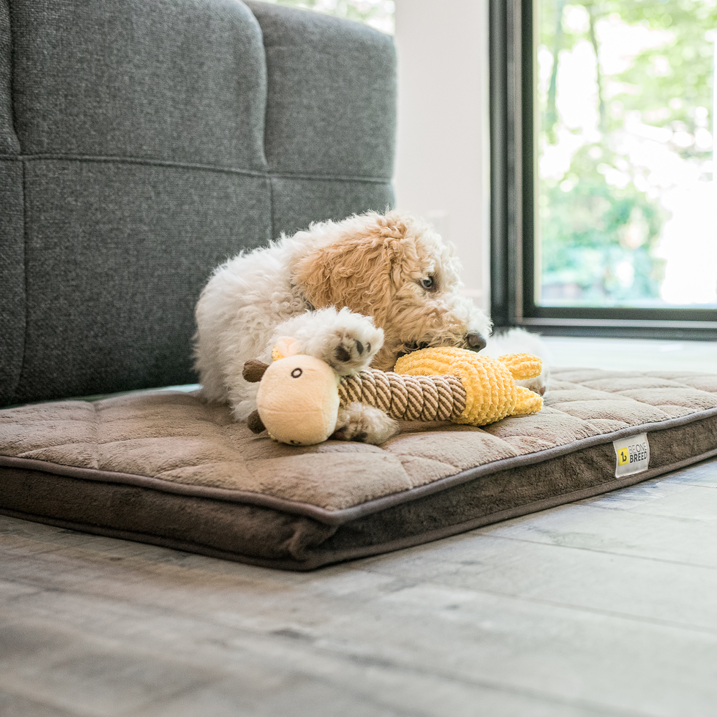 Orthopedic memory foam dog bed, brown