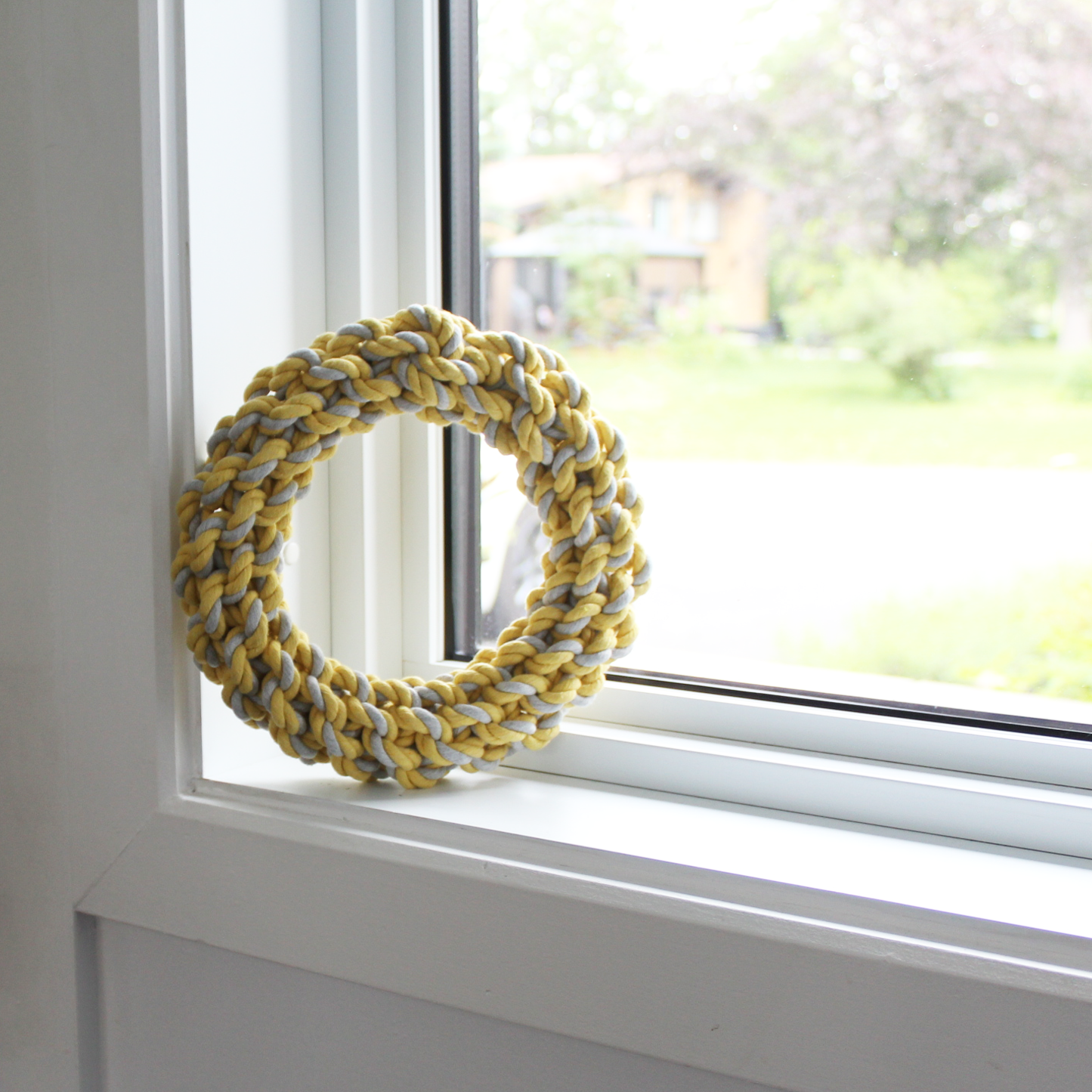 Rope ring dog toy