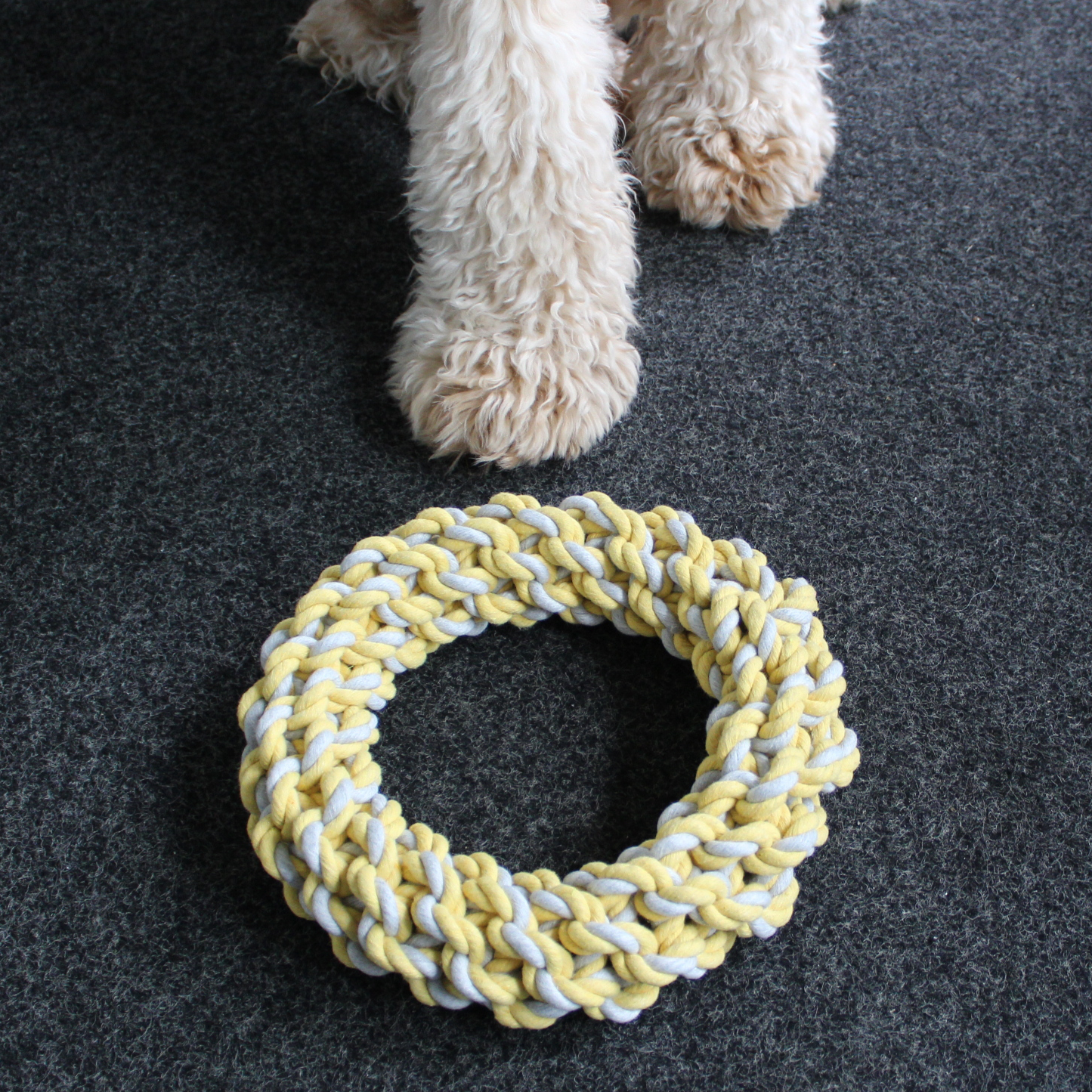 Rope ring dog toy