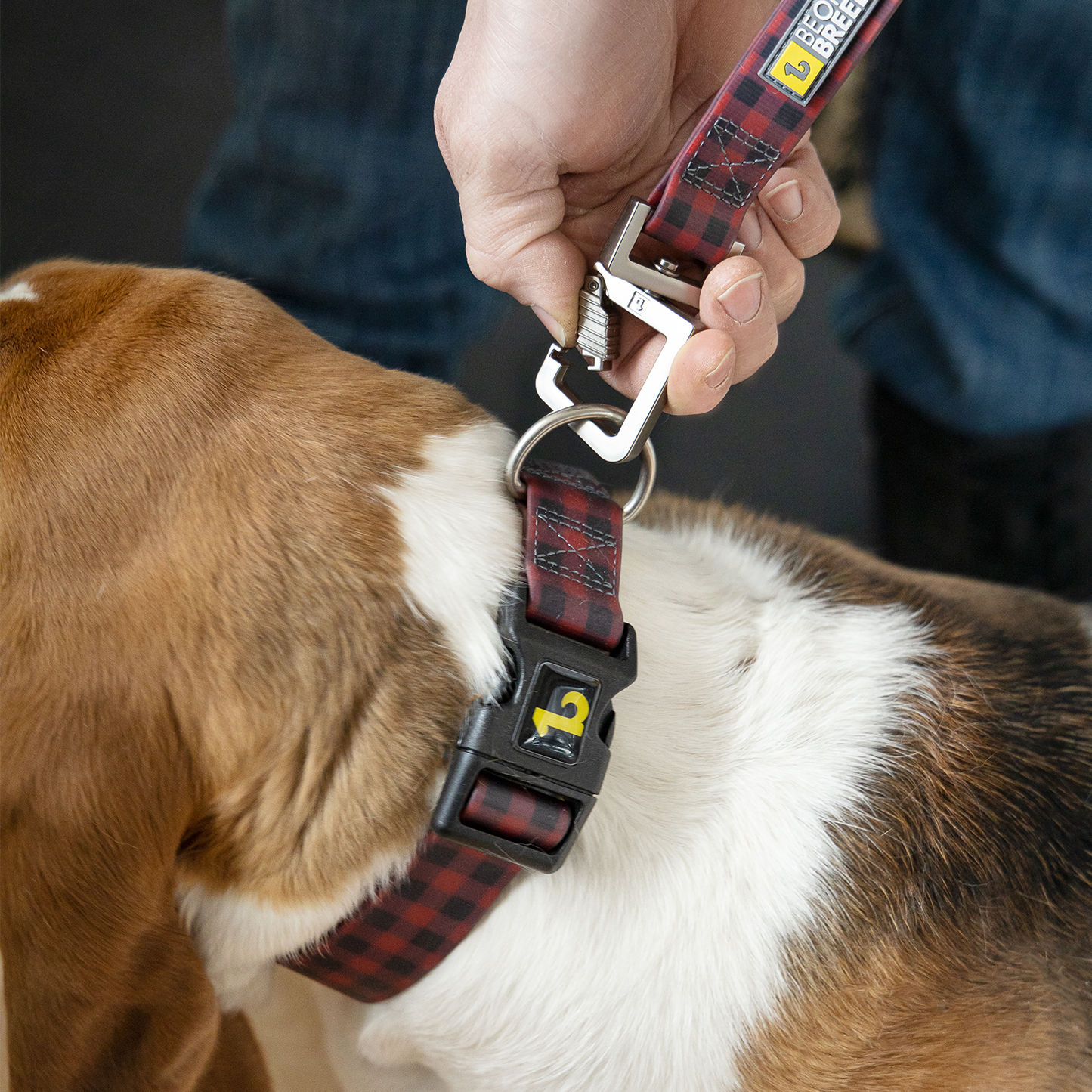 Silicone collar for dog, buffalo style