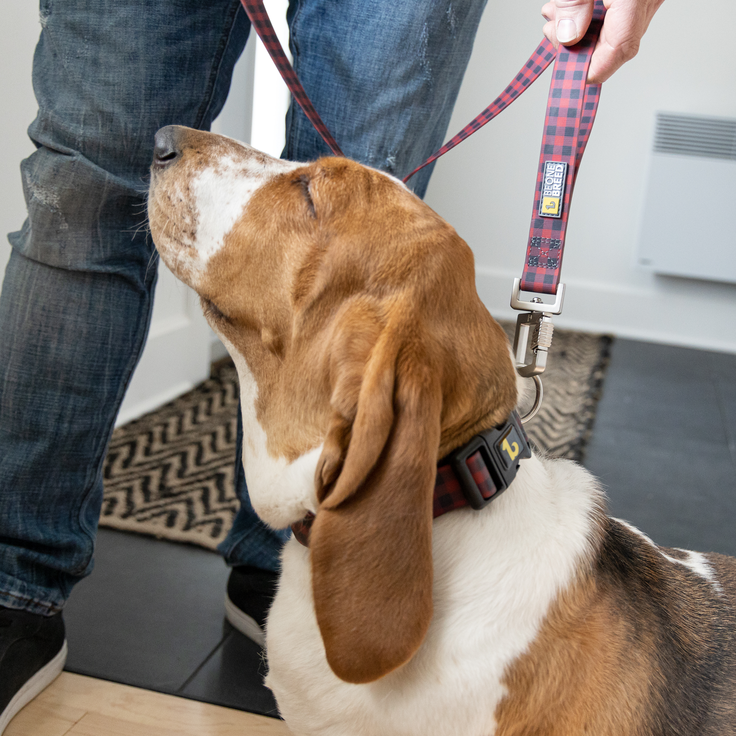 Silicone leash for dog, buffalo style