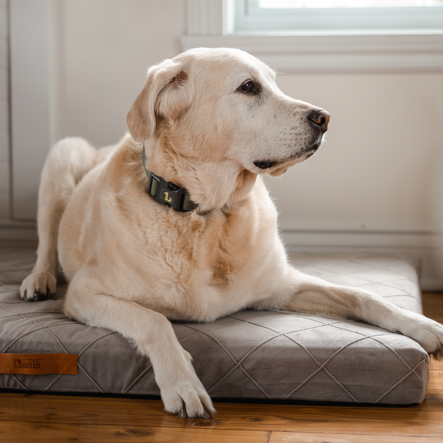 Supplementry sky dog bed cover