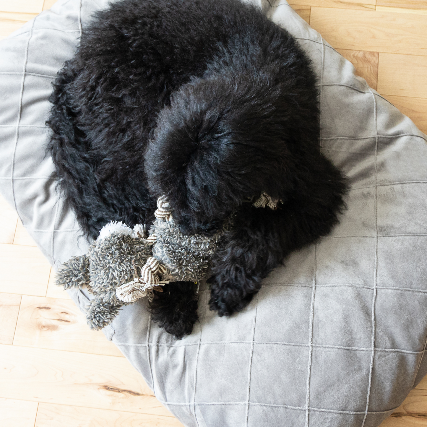 Supplementry sky dog bed cover