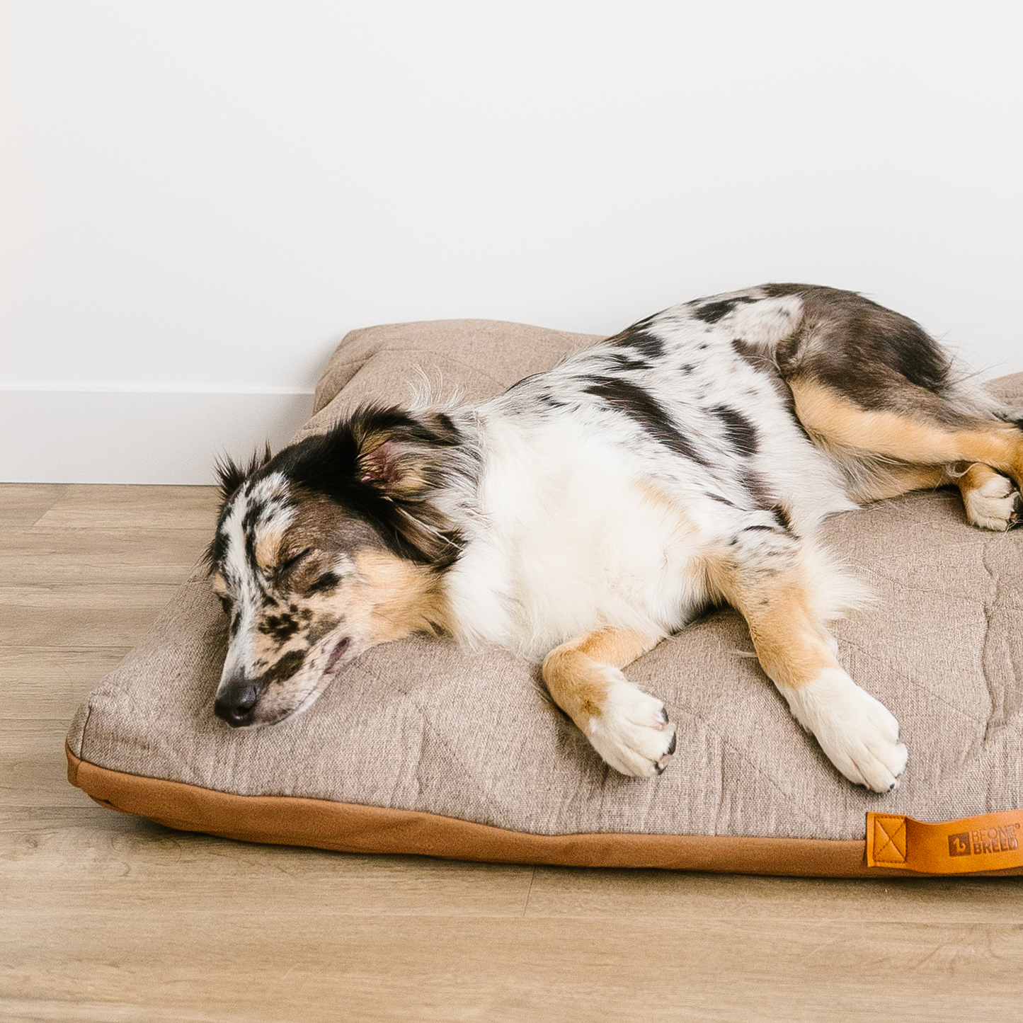 Supplementry sky dog bed cover, luxury tweed style
