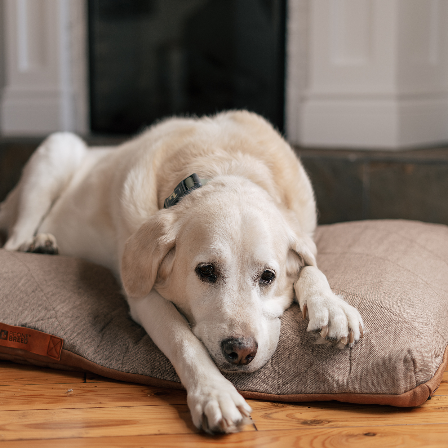 Supplementry sky dog bed cover, luxury tweed style