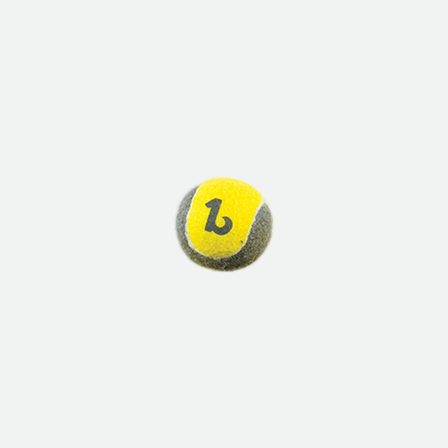 Tennis ball for dog