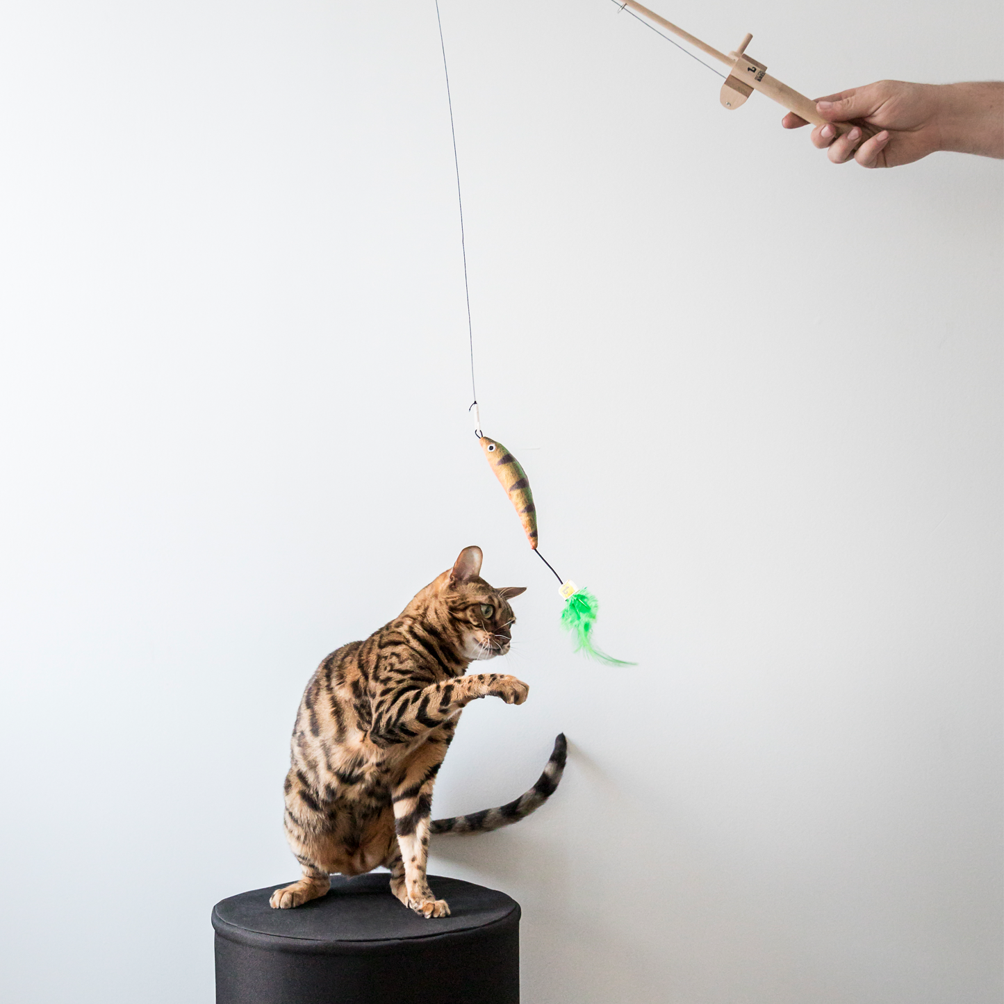 Cat teaser fishing rod toy