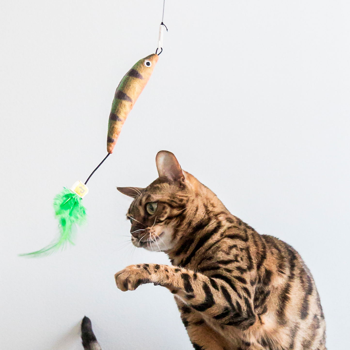 Cat teaser fishing rod toy