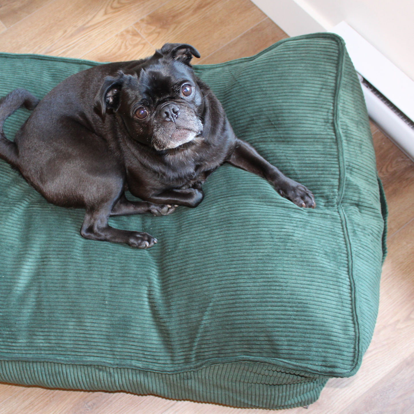 Supplementry cloud dog bed cover, green