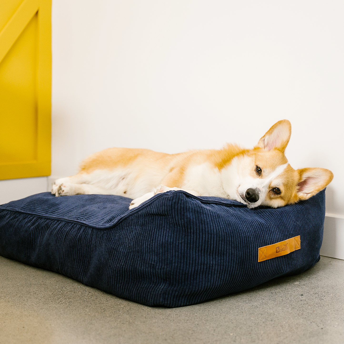 Supplementry cloud dog bed cover, navy blue