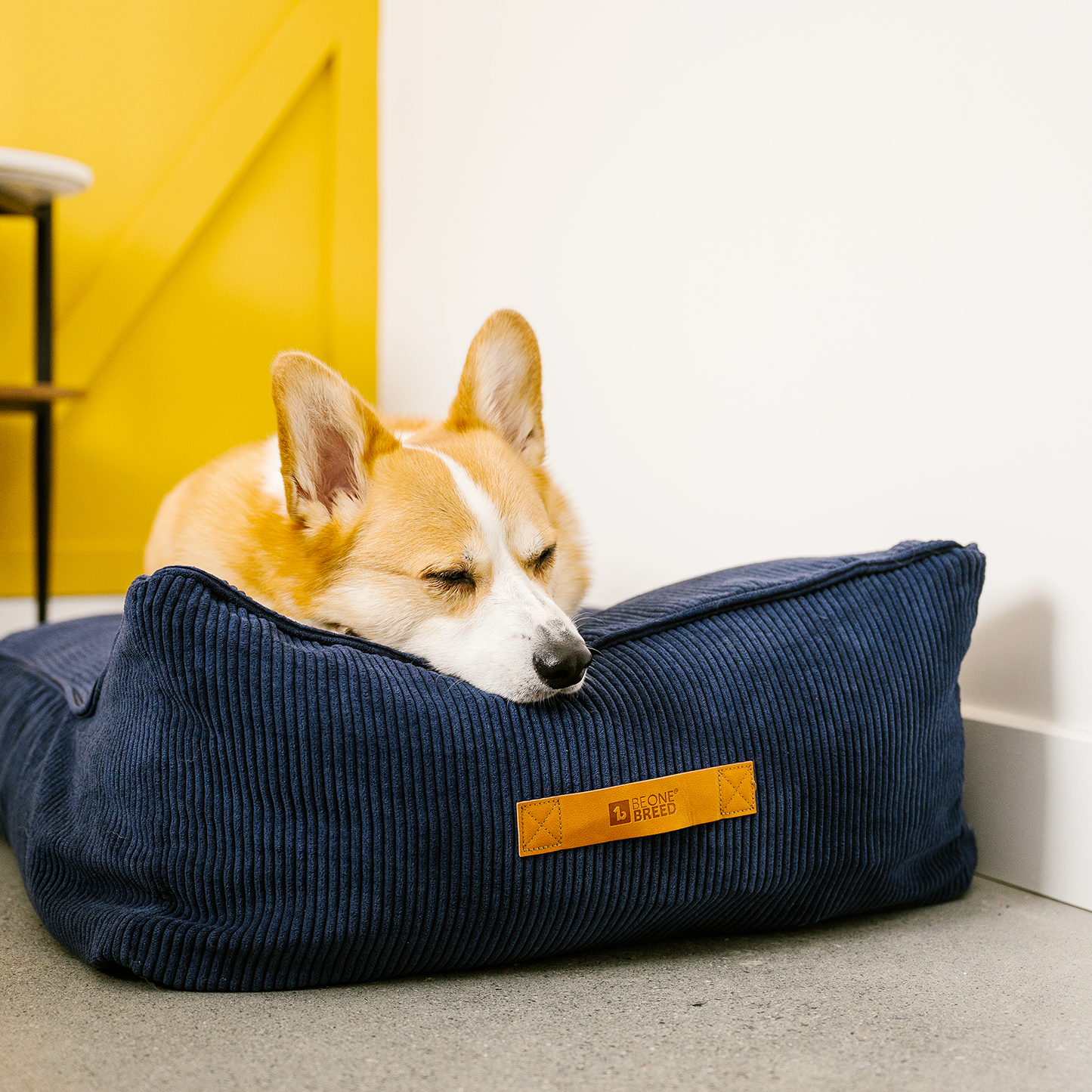 Supplementry cloud dog bed cover, navy blue