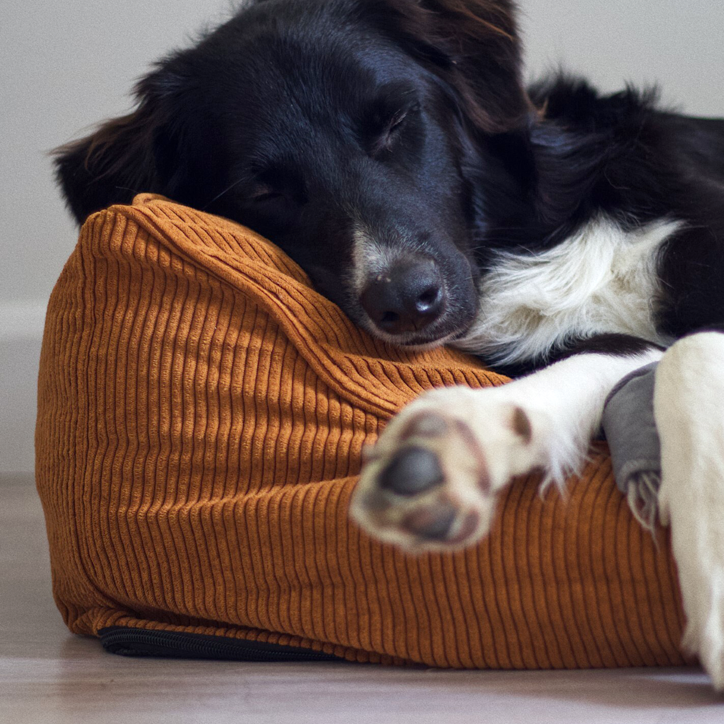 Supplementry cloud dog bed cover, pecan