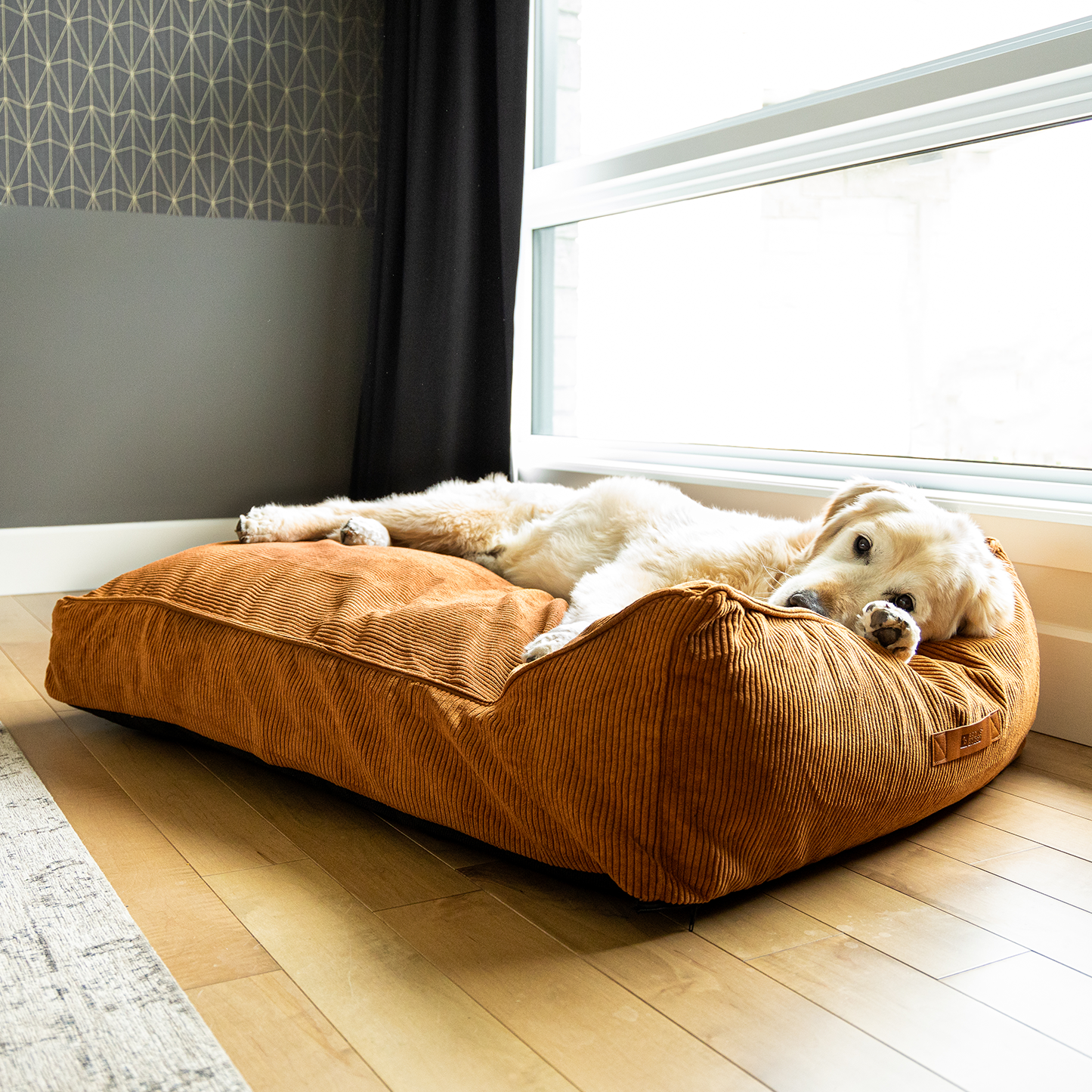 Supplementry cloud dog bed cover, pecan