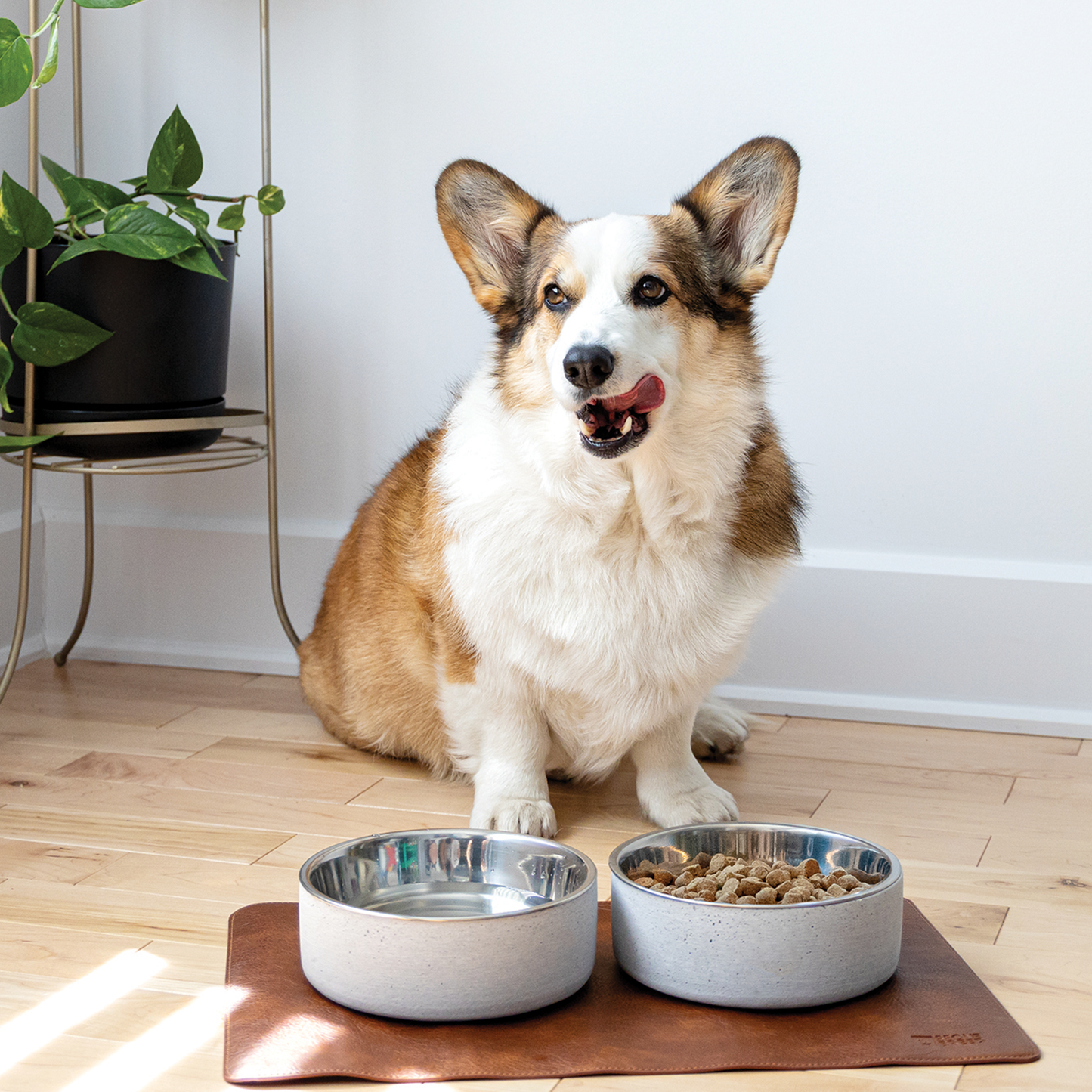 Faux leather placemat for pet, brown