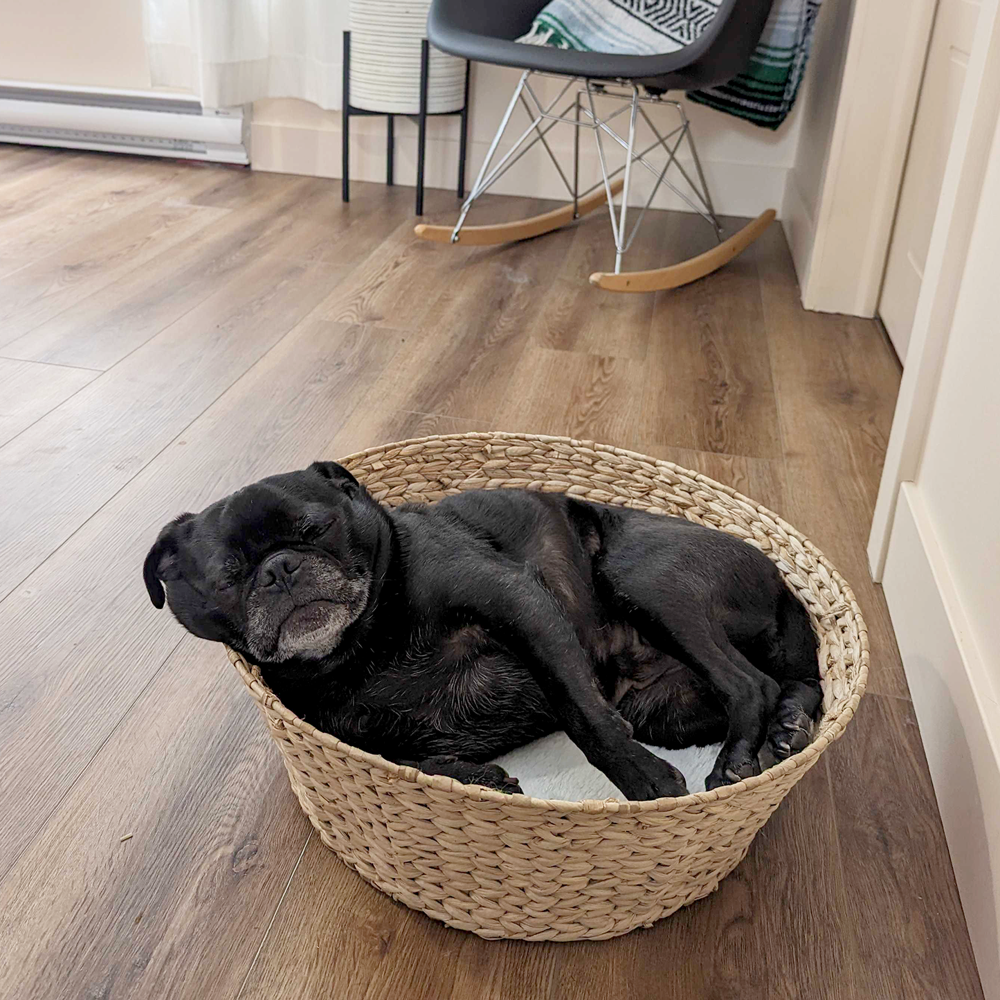 Woven basket bed for cat and small dog, beige